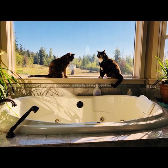 Meet your Posher, Kelly - Picture 15 of 17